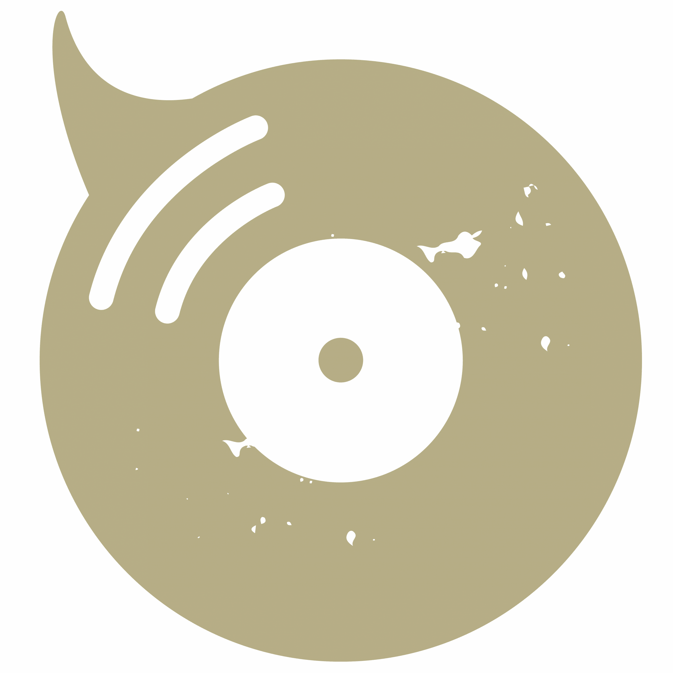 RM_ICON_Vinyl